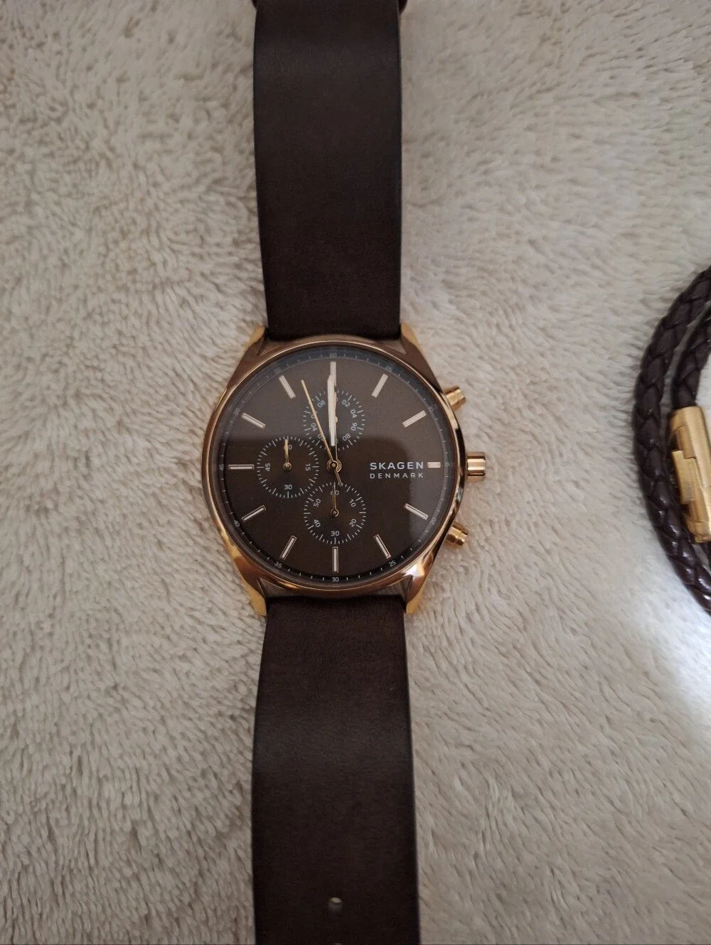Mens Skagen Denmark Watch Rose Gold/ Burgundy